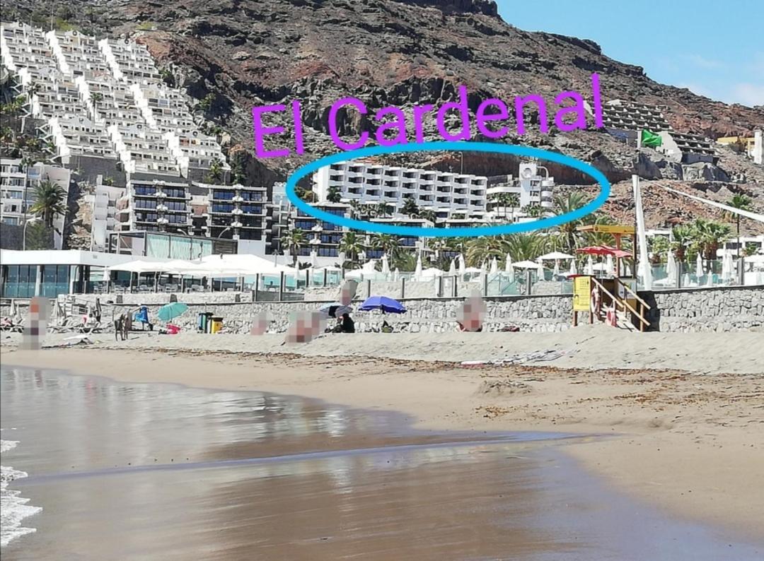 Apartamento El Cardenal Mick & Rosa Playa Del Cura  Extérieur photo